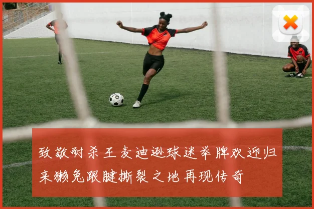 致敬耐杀王麦迪逊球迷举牌欢迎归来獭兔跟腱撕裂之地再现传奇